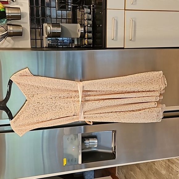 💕TAHARI by ASL💕 Glitter Lace Trim Metallic Ribbon Belted Dress Light Pink 18W - Picture 8 of 14